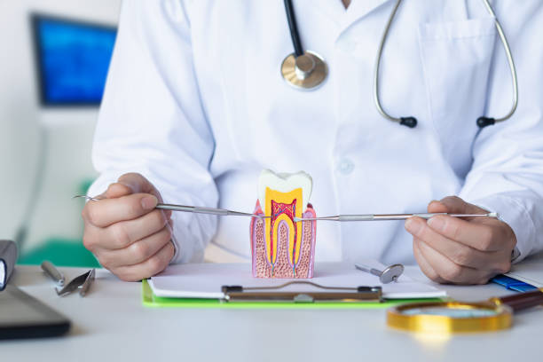 Best Emergency Wisdom Tooth Extraction in Waterloo, IN